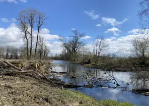 Standard Post with Image