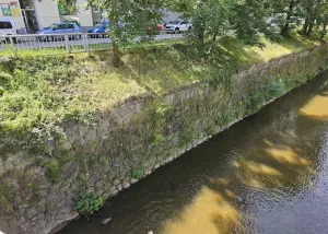 Standard Post with Image