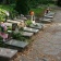 Veřejné pohřebiště Olomouc - Neředín | © Blanka Martinovská