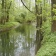 リトヴェルスケー・ポモラヴィー　（リトヴェル町周辺のモラヴァ川沿い河畔林の自然保護区） 