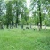 Veřejné pohřebište - Černovír a vojenský hřbitov | © Pavel Snášel