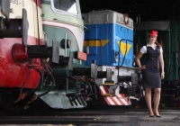 Экспозиция исторических колейных транспортных средств музея Чешских железных дорог
