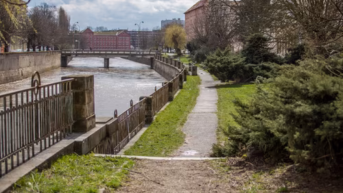 Standard Post with Image