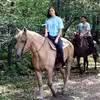 jizda-na-koni2