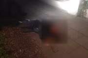 Alkohol v hlavní roli