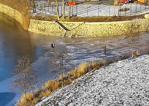 Zamrzlé plochy lákají k bruslení, pozor však na tloušťku ledu | © Městská policie Olomouc
