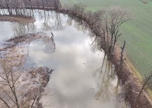 Standard Post with Image