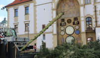 Vánoční strom je pryč, kmen putuje do řezbářské školy