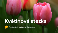 Květinovou stezkou za krásami Olomouce