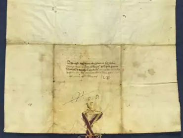 Český král Václav II. osvobozuje město Olomouc od placení mýta v Litovli a Kojetíně, uděluje městu vlastní městský soud, dovoluje přijímat cizí poddané a potvrzuje mílové právo na vaření piva.