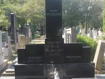Náhrobek rodiny Doleželovy na prostějovském hřbitově. Výřez z fotografie Marcely Žůrkové, zdroj: http://prostejovsky.denik.cz/galerie/pred-44-lety-zemrel-frantisek-dolezel-080916.html?mm=7210227&photo=2&back=2163395227-2604-59.