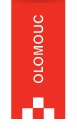 Primary Raster logo